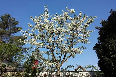 Villa Bismarckshöhe Wohnung Clara