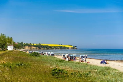 Schwarzer Bär Whg. Bär 04