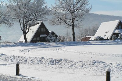 Ferienhaus B