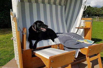 Vakantieappartement Gezinsvakantie Ahneby