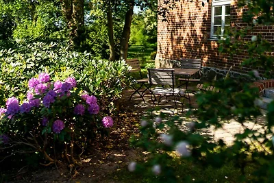 Slot/Kasteel Vakantieparken en clubs Ribnitz-Damgarten