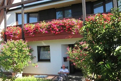 Appartamento Vacanza con famiglia Vogtsburg im Kaiserstuhl