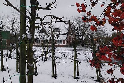 Vakantieappartement Gezinsvakantie Hollern-Twielenfleth