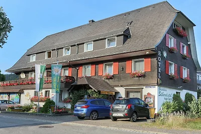 Albergo Cultura ed escursioni Hinterzarten