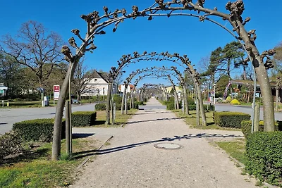 Graugans: 48m², 2-Raum, 4 Pers.