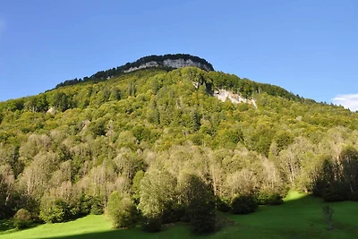 Appartement Vacances avec la famille Mellau