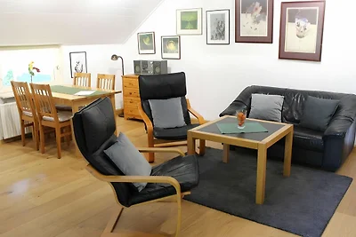 Albergo Cultura ed escursioni Butjadingen