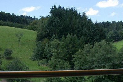 Vakantieappartement Gezinsvakantie Waldkirch