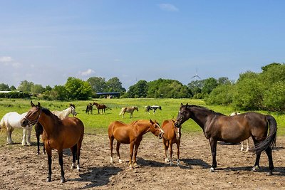 Ferienwohnung FLORI´S PONYHOF