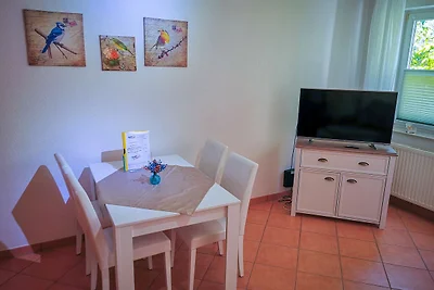 Albergo Cultura ed escursioni Binz