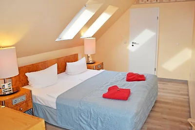 Albergo Cultura ed escursioni Lobbe