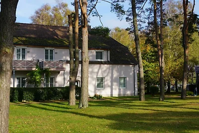 Albergo Cultura ed escursioni Dierhagen