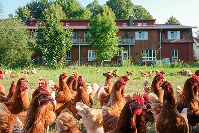 Vakantieappartement Gezinsvakantie Schwerin