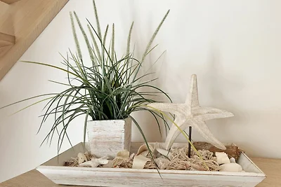 Vakantieappartement Gezinsvakantie Thiessow