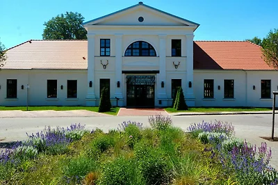 Albergo Cultura ed escursioni Neustrelitz
