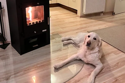 Ferienwohnung Seestern 17