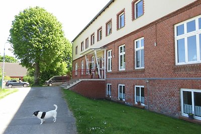 Vakantieappartement Gezinsvakantie Lüssow