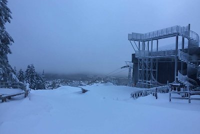 Vakantieappartement Gezinsvakantie Hahnenklee