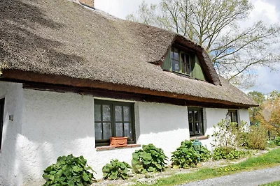Ferienwohnung unterm Reetdach in Woorke