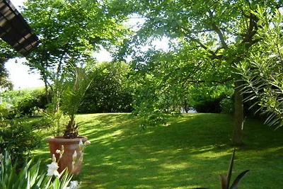 Appartamento Vacanza con famiglia Vogtsburg im Kaiserstuhl