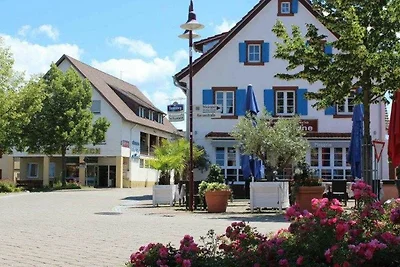 Appartamento Vacanza con famiglia Ringsheim