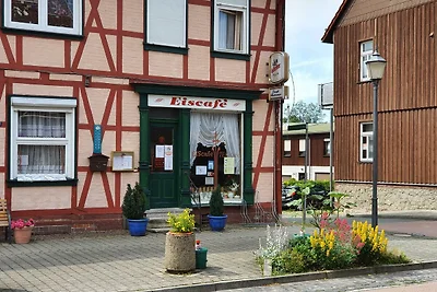 Vakantieappartement Gezinsvakantie Oberharz am Brocken