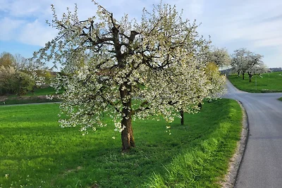Vakantieappartement Gezinsvakantie Egloffstein
