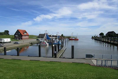 Ferienwohnung De fine Stuvje