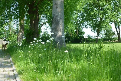 Ferienwohnung Gesindezimmer