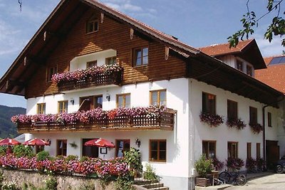 Appartamento Vacanza con famiglia Zell am Moos