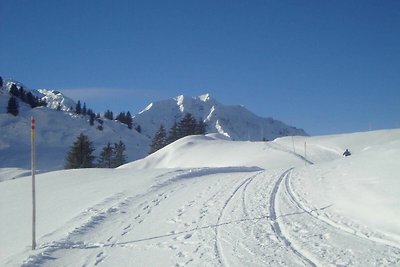 Appartamento Vacanza con famiglia Schröcken