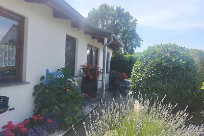 Bungalow Carpe diem