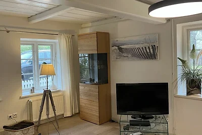 Ferienhaus Frahmshörn