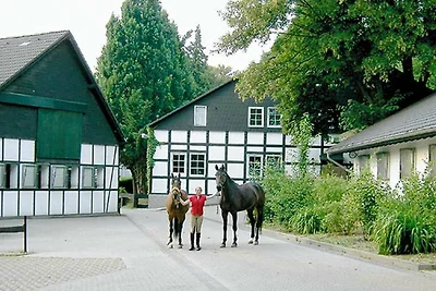 Albergo Cultura ed escursioni Klingenthal