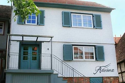 Appartamento Vacanza con famiglia Michelstadt