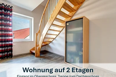 Seglerhafen 08 - OG/DG