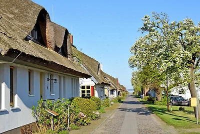 Vakantieappartement Gezinsvakantie Lancken-Granitz