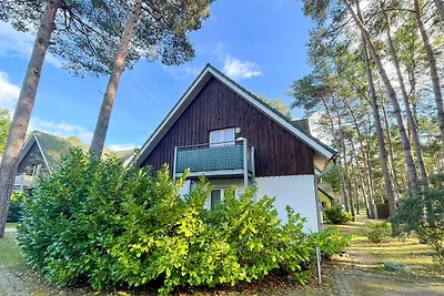 Küstenwald - Strandidyll 3