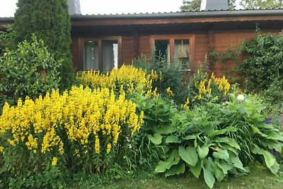 Casa vacanze Vacanza di relax Edertal
