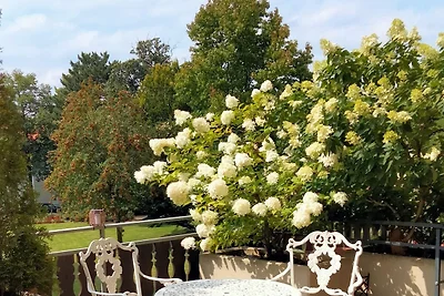 Appartement Vacances avec la famille Bad Harzburg