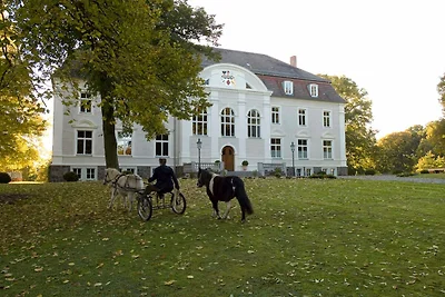 Slot/Kasteel Vakantieparken en clubs Boldekow