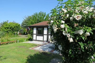 Ferienhaus 81 Scout 42qm für max.