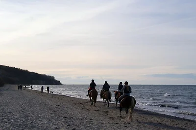 Ferienwohnung SandPiper