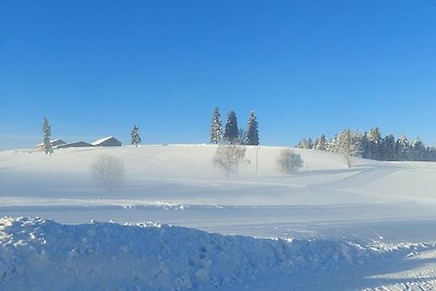 Vakantieappartement Gezinsvakantie Eisenberg