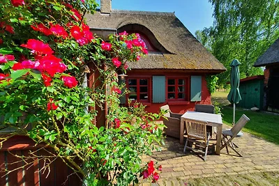 Sauna, Kamin, grosser Garten, Ruderboot, Reet...