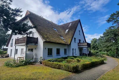 Fewo 2, Jürs, EG, 2 Zimmer,