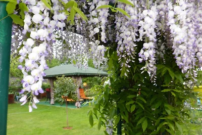 Casa vacanze Vacanza di relax Wittenberg