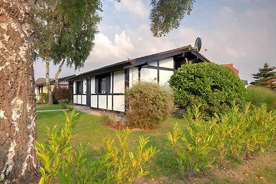 Hotel Cultuur en bezienswaardigheden Butjadingen