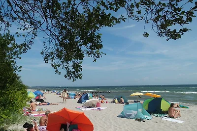Appartement Vacances avec la famille Sierksdorf