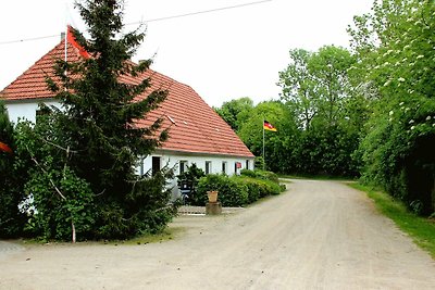 Vakantieappartement Gezinsvakantie Hohen Demzin